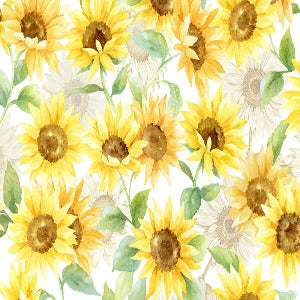 60" Wide Shannon Fabrics Cloud Cuddle Sunflowers