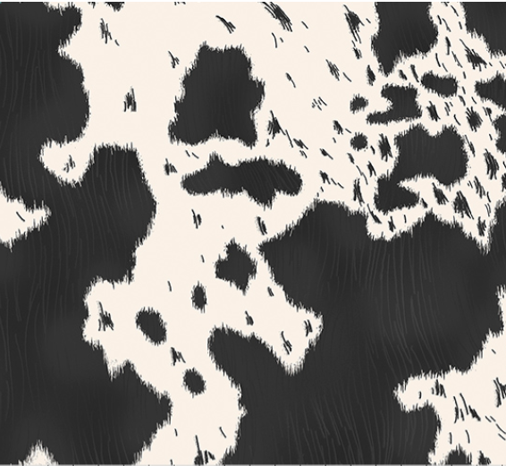 44" Wide Shannon Fabrics "Echoes of The Range" Longhorn Black Quilting Cuddle