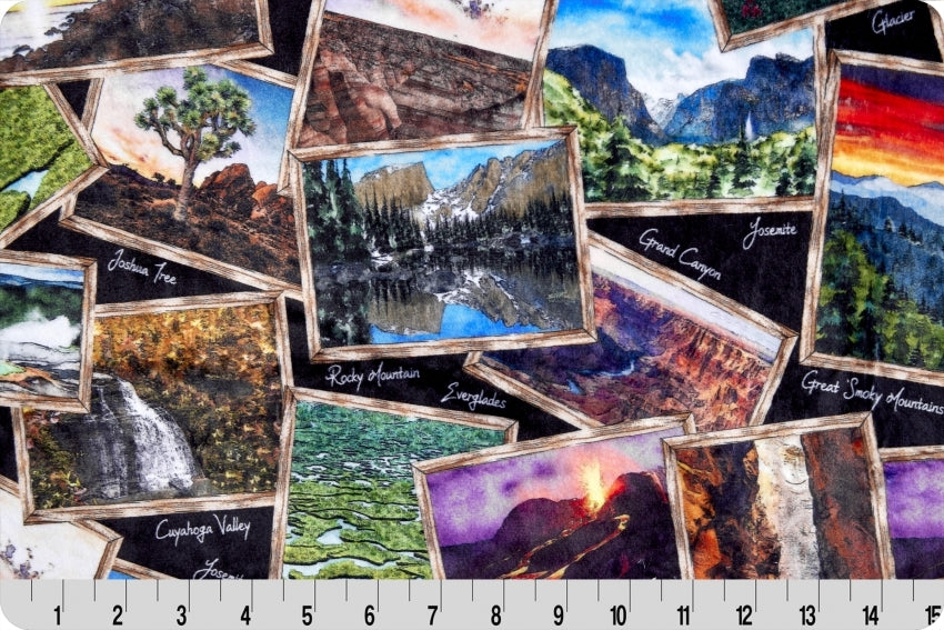 60" Wide Shannon Fabrics National Parks Digital Cuddle Black 100% Polyester Sold by The Yard