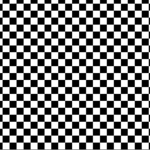 45" Wide Henry Glass Alpha Babies 1/4" Black/White Check 100% Cotton