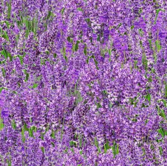 45" Wide Elizabeth's Studio Landscape Medley Lavender 572LAVENDER 100% Cotton Sold By The Yard