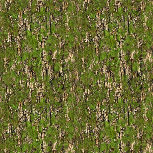 45" Wide Mossy Bark Texture CD4209 100% Cotton Sold By The Yard