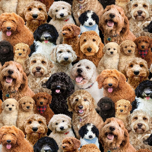 45" Wide Best Friends Mixed Breeds Dog 742-Multi 100% Cotton Sold By The Yard
