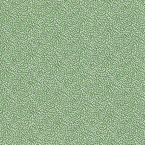 45" Wide Aunt Grace Goes Bold R351777D Green Rice 100% Cotton Sold By The Yard