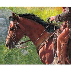 36”x44” Ride the Range Cowboying Panel
