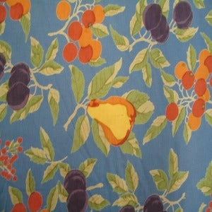 60" Fruit with Blue Background