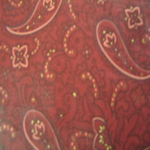 54" Paisley Cranberry