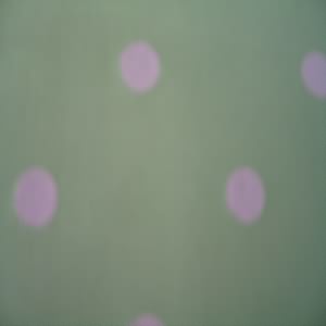 58" Drapery/Upholstery Dot Pink with Green Background