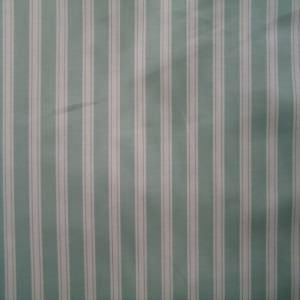 54" Stripe Pale Green and White