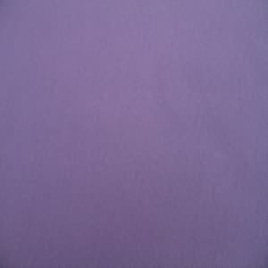 60" Fleece 100% Polyester Anti-Pill Solid Purple
