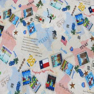 60" Minky 100% Polyester States Texas DR250513