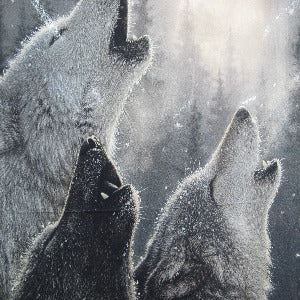 45" X 36" Panel Wild and Playful Wolves 100% Cotton