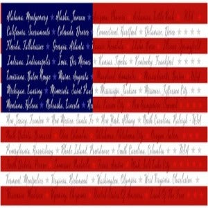 24" X 44" Panel American Flag States Capitals USA United States Patriotic One Nation by Jessica Mundo Cotton Fabric Panel