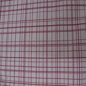 45" Bloom and Grow Plaid Pink #C10115