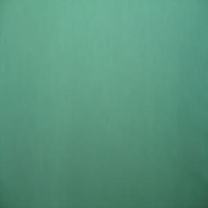 58" Rayon Solid Green