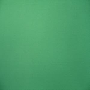 60" Satin Poly Dull Sheen Solid Green<br>Picture Color Not Accurate