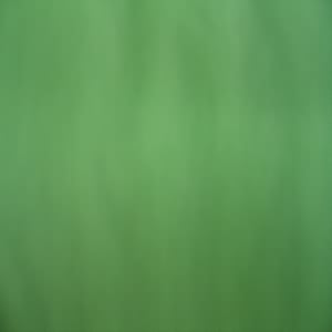 54" Tulle Lime