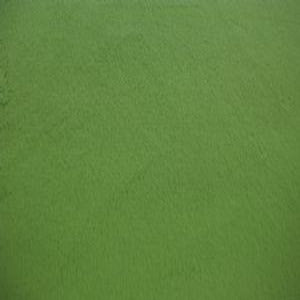 60" Minky 100% Polyester Smooth Solid Dark Lime