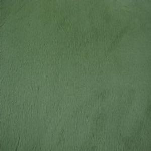 60" Minky 100% Polyester Smooth Solid Kiwi